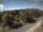 Webcam in Schierke, 5.2 mi away