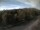 Webcam in Schierke, 11.8 km