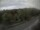 Webcam in Schierke, 11.8 km entfernt