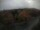 Webcam in Schierke, 1.8 mi away