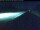 Webcam in Lincoln, Maine, 65.1 mi away