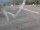 Webcam on the Berthoud Pass, Colorado, 30.9 mi away