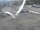 Webcam sur le Berthoud Pass, Colorado, 80.7 km