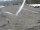 Webcam sur le Berthoud Pass, Colorado, 68 km