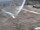 Webcam on the Berthoud Pass, Colorado, 193 mi away