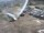 Webcam in Berthoud Pass, Colorado, 71.5 km