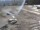 Webcam in Berthoud Pass, Colorado, 154.2 km