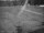 Webcam in Berthoud Pass, Colorado, 66.9 km