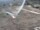 Webcam on the Berthoud Pass, Colorado, 30.9 mi away