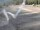 Webcam sur le Berthoud Pass, Colorado, 78.4 km