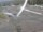 Webcam on the Berthoud Pass, Colorado, 27.4 mi away