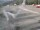Webcam on the Berthoud Pass, Colorado, 20.8 mi away
