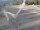 Webcam on the Berthoud Pass, Colorado, 90.2 mi away