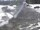 Webcam sul Berthoud Pass, Colorado, 51 km