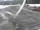 Webcam sul Berthoud Pass, Colorado, 561.4 km