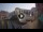 Webcam in Venice, 0.1 mi away