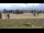 Webcam sur le Brocken, 7.9 km
