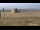 Webcam sul monte Brocken, 9.8 km