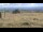 Webcam on mount Brocken, 2.1 mi away