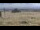 Webcam on mount Brocken, 0 mi away