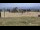 Webcam sul monte Brocken, 9.8 km
