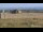 Webcam auf dem Brocken, 5.5 km entfernt