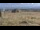 Webcam auf dem Brocken, 0.2 km entfernt