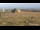 Webcam auf dem Brocken, 12.2 km entfernt