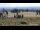 Webcam sur le Brocken, 9.8 km