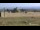 Webcam sul monte Brocken, 8.7 km