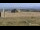 Webcam sul monte Brocken, 9.8 km