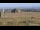Webcam sul monte Brocken, 5.8 km