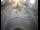 Webcam in Kahramanmaras, 270.8 mi away