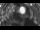 Webcam in Gartow, 24.7 mi away