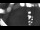 Webcam in Gartow, 19.4 mi away