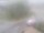 Webcam in Kolbingen, 2.4 mi away