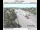 Webcam in Beaverton, Oregon, 16.9 mi away