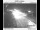 Webcam in Beaverton, Oregon, 63.1 km