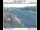 Webcam in Clackamas, Oregon, 28.1 km