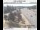 Webcam in Clackamas, Oregon, 1.1 mi away