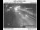 Webcam in Clackamas, Oregon, 65.7 km