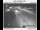 Webcam in Clackamas, Oregon, 3 km