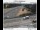 Webcam in Gladstone, Oregon, 4.1 mi away