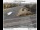 Webcam in Gladstone, Oregon, 9.4 mi away