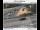 Webcam in Gladstone, Oregon, 10.6 km