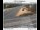 Webcam in Gladstone, Oregon, 22.1 km