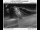Webcam in Parkrose, Oregon, 23.7 mi away