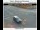Webcam in Salem, Oregon, 1.6 km entfernt