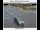 Webcam in Salem, Oregon, 44.2 km