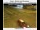 Webcam in Salem, Oregon, 96.5 km